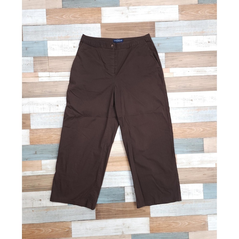 Ann Taylor Stretch Brown Cropped Nylon Pants - Size 2P